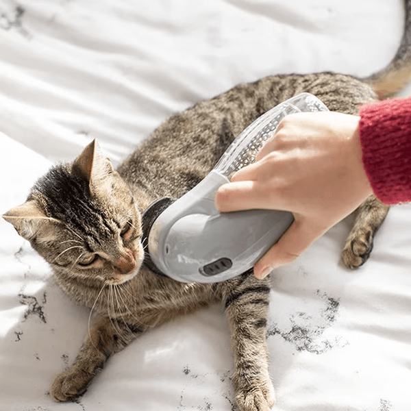 Cordless Pet Vacuum Cleaner