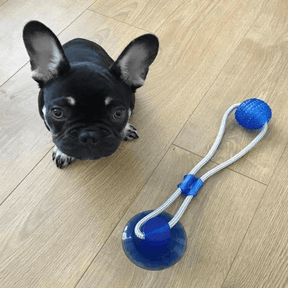 Dog Suction Cup Toy