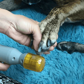 Electric Pet Nail Clipper